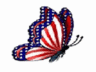 butterflyredwhiteblue.jpg